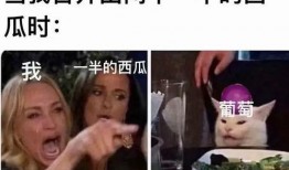 沙雕娱乐圈吃瓜小说推荐,揭秘明星背后的疯狂故事